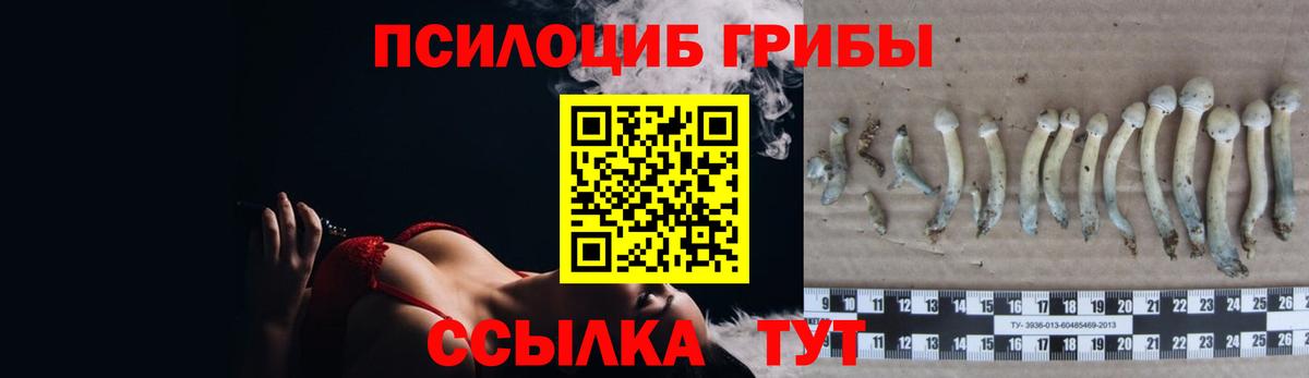 цены наркотик  Вход с VPN  Топки  Галлюциногенные грибы ЛСД 